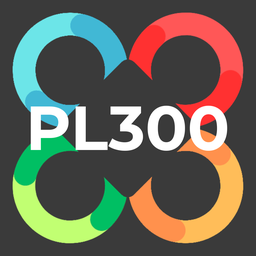 PL-300